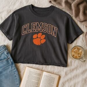 Clemson Tigers Champion Cropped Logo Tee Gray Boxy Fit Football Womens Small